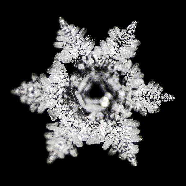 VitaJuwel ViA WELLNESS | Crystal Water Bottle with Amethyst, Rose Quartz & Clear Quartz for Calmness, Balance & Relaxation